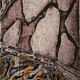 Life on Mars<br>Collagraph<br> �7&rdquo; x 4&rdquo;