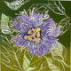 Passion Flower<br>Linocut<br> 12” x 12”