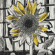 Sunflower at Cafe Azul<br>Linocut<br> 12” x 18”