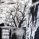 Behind the Gate<br>Linocut<br> 24” x 17.5”